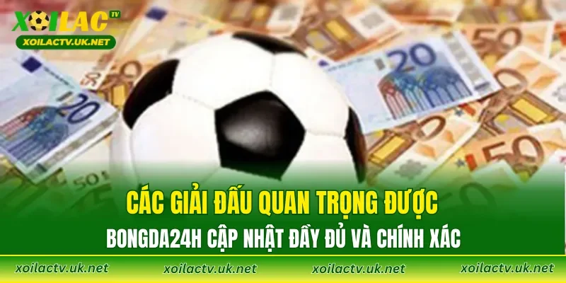 Các giải đấu quan trọng được Bongda24h cập nhật đầy đủ và chính xác