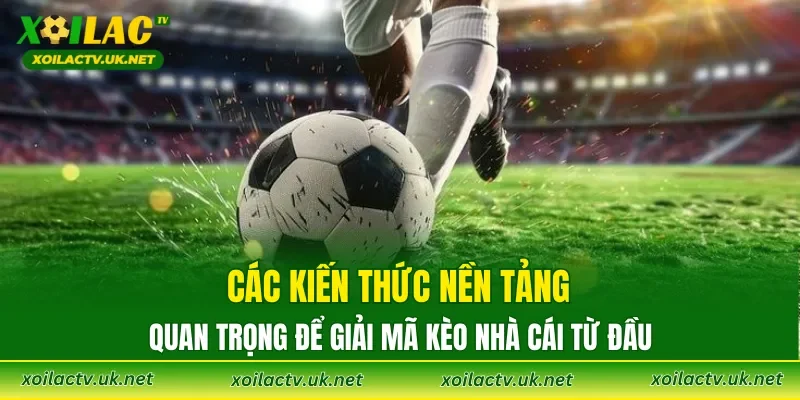 Các kiến thức nền tảng quan trọng để giải mã kèo nhà cái từ đầu