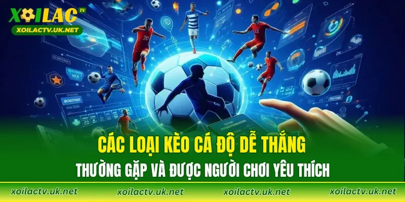 Các loại kèo cá độ dễ thắng thường gặp và được người chơi yêu thích