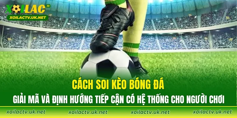 Cách soi kèo bóng đá: giải mã và định hướng tiếp cận có hệ thống cho người chơi
