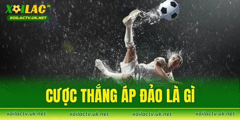 Cược Thắng Áp Đảo Là Gì