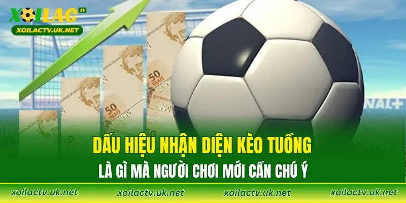 Dấu hiệu nhận diện Kèo Tuồng Là gì mà người chơi mới cần chú ý