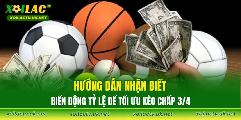 Hướng dẫn nhận biết biến động tỷ lệ để tối ưu kèo chấp 3/4