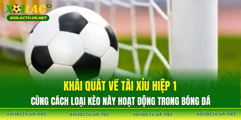 Khái quát về tài xỉu hiệp 1 cùng cách loại kèo này hoạt động trong bóng đá