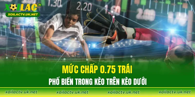 Mức chấp 0.75 trái phổ biến trong Kèo trên Kèo dưới