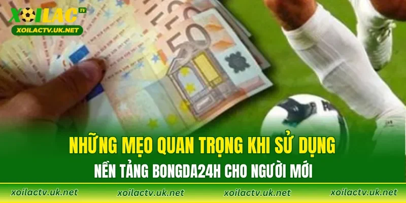 Những mẹo quan trọng khi sử dụng nền tảng Bongda24h cho người mới