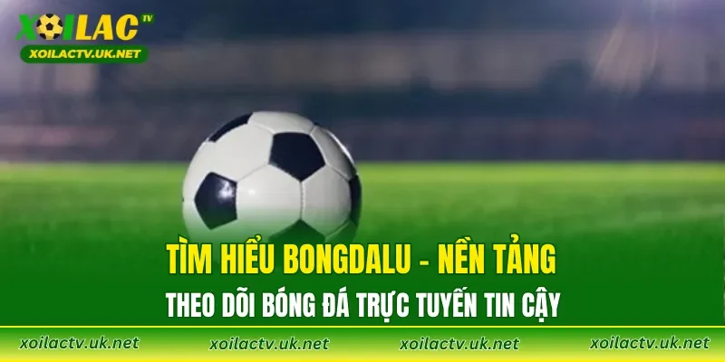 Tìm hiểu Bongdalu – nền tảng theo dõi bóng đá trực tuyến tin cậy