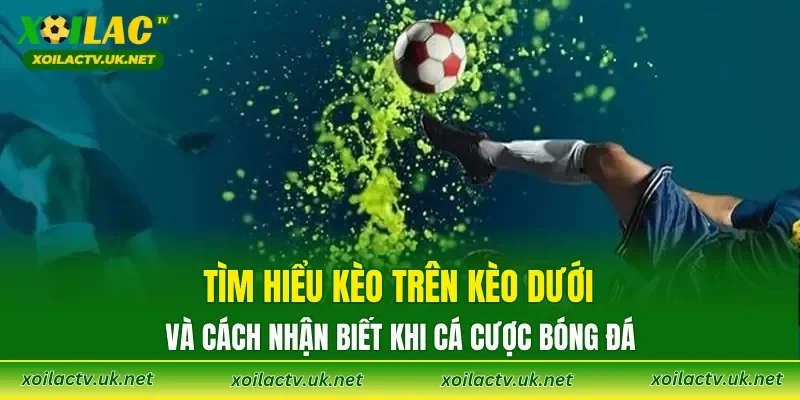 Tìm hiểu Kèo trên Kèo dưới và cách nhận biết khi cá cược bóng đá